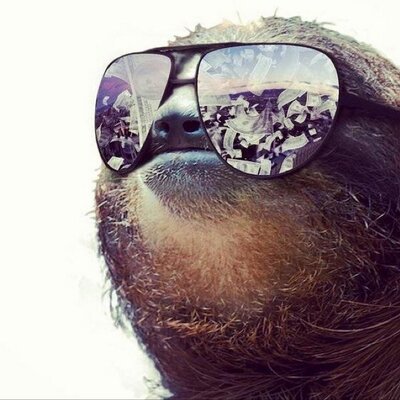 Profile Picture of Steve Ledford (@busterholz) on Twitter