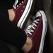 Profile Picture of Darcy Conway (@yawnocx5) on Pinterest