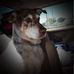 Profile Picture of Cindy Stroud (@Cindy-Stroud) on Facebook
