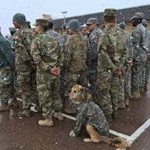 Profile Picture of wayne harry (@wayneharry41) on Instagram