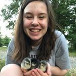 Profile Picture of Olivia Prather 🧡🎭 (@olivia_k_prather) on Instagram