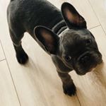 Profile Picture of Sean Duffy (@seanduffy123) on Instagram