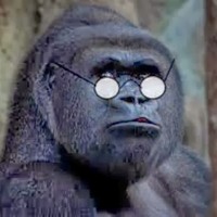 Profile Picture of Andrzej Czerwinski (@andrzej-czerwinski) on Quora