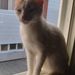 Profile Picture of Chloe Rector (@rect5120) on Pinterest