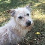 Profile Picture of Kevin Daniel Kolis (@kevindkolis) on Instagram