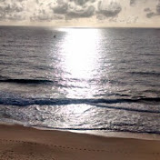 Profile Picture of JESSE KRIEGER (@jessekrieger6283) on Youtube