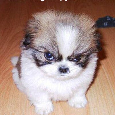 Profile Picture of Matthew Stamp (@themattman69) on Twitter