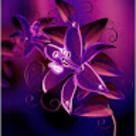 Profile Picture of Natasha Benevides (@nbenevides0) on Poshmark