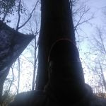 Profile Picture of Jonathan Gross (@jonathangross58) on Instagram