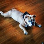 Profile Picture of Alex Wolfson (@alex_wolfson) on Instagram