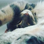 Profile Picture of ethan long (@ethan_long_c) on Instagram