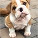 Profile Picture of Colby Roberts (@colbyroberts0728) on Pinterest