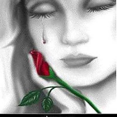 Profile Picture of Stephen Noel (@StephenNoel_) on Twitter