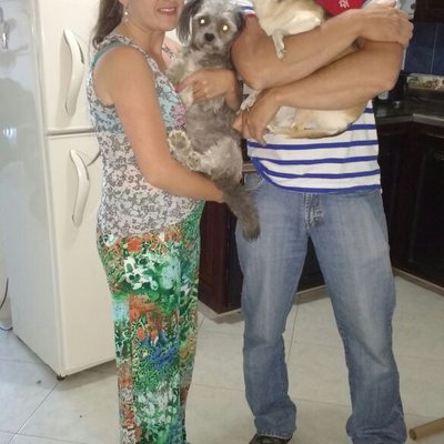 Profile Picture of Fabián Andrés Naranjo Vidal (@Erniefabiannar1) on Twitter