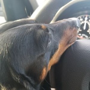 Profile Picture of Marc Spaz Spezzano (@EsquireSpaz) on Twitter