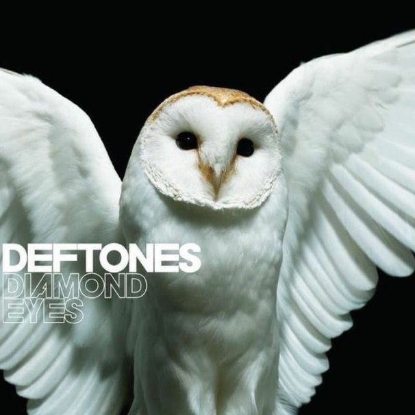 Profile Picture of Chris 🫶 (@chrislisle_lol) on Tiktok