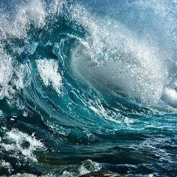 Profile Picture of Jeremiah Alvarado (@J4938) on Twitter