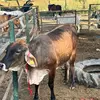 Profile Picture of Miguel Partida (@miguel.partida24) on Tiktok