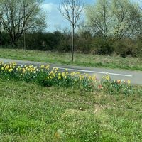 Profile Picture of Elisabeth Nguyen (@elisabeth-nguyen-16) on Quora