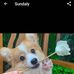 Profile Picture of Tracy Mark (@tracy.mark.148116) on Facebook