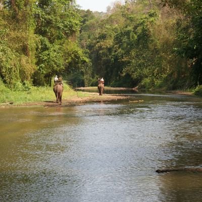 Profile Picture of Marc Vela (@marcvela4) on Twitter