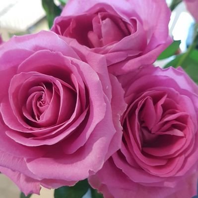 Profile Picture of Kim ARNELL (@ArnellKim) on Twitter