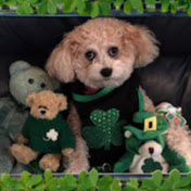 Profile Picture of Ann Marie McMahon (@annmariemcmahon6785) on Youtube