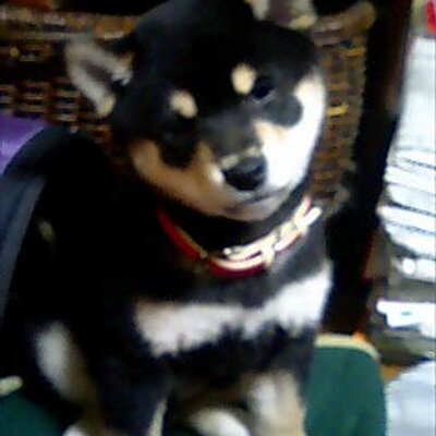 Profile Picture of もり (@ron_mori) on Twitter