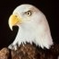 Profile Picture of Jon Phelps-steele (@jon-phelps-steele) on Quora