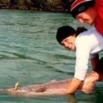 Steve Staton - Instagram Profile Picture of Steve Staton (@steve_staton) on Instagram