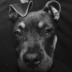 Profile Picture of Jonathan Troiano (@troianojonathan) on Instagram