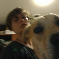 Profile Picture of Matthew Solomon (@matthew-solomon-24) on Quora