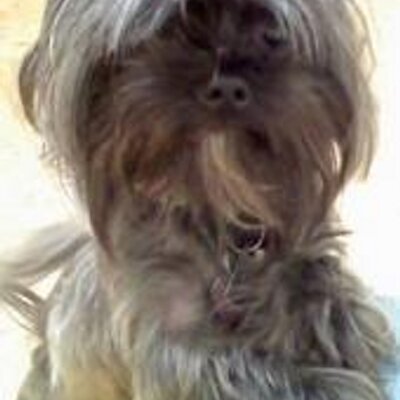 Profile Picture of Lil Kim Barron (@Kimmy2120) on Twitter