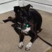 Profile Picture of Paula Terwilliger (@paula.terwilliger.39) on Facebook