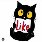 Profile Picture of Anna K. Cohen (@anna_cohen789) on Instagram
