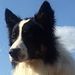 Profile Picture of Edie Hardin-Steiner (@ediehardinsteiner) on Pinterest