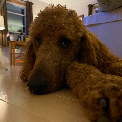 Profile Picture of Douglas Remington (@DouglasRemingt9) on Twitter