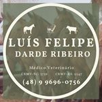 Profile Picture of Luís Felipe Darde Ribeiro (@darderibeiro) on Instagram