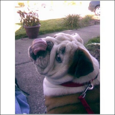 Profile Picture of Charles Hargrove (@clhargrove88) on Twitter