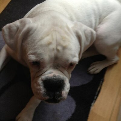 Profile Picture of Andrew Vick (@AndrewvickVick) on Twitter