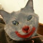 Profile Picture of weewoo (@christopher_mcgovern.toph) on Instagram