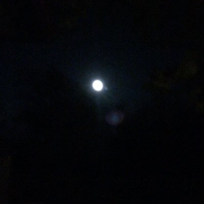 Profile Picture of Dan Duquette (@DanDuquette2) on Twitter