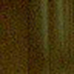 Profile Picture of Deborah Davison (@dizzyz618) on Flickr