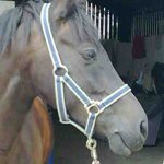 Profile Picture of kym wheeler (@kym2014wheeler) on Instagram