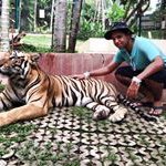 Profile Picture of Nelson Perez (@nelsonthepilot) on Instagram