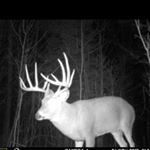 Profile Picture of Colton James Belding (@colton_belding_) on Instagram