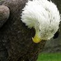Profile Picture of John Clouse (@john-clouse-10) on Quora