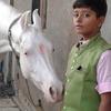 Profile Picture of Kashyap Patel (@@kashyappatel06) on Tiktok