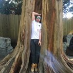 Profile Picture of Mike Thrower (@emptythrower) on Instagram