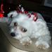 Profile Picture of Debra Bernard (@debra.bernard.94) on Facebook